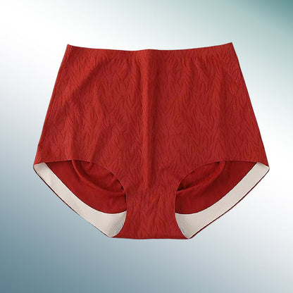 ANITA™ | Pack de 5 braguitas altas sin costuras